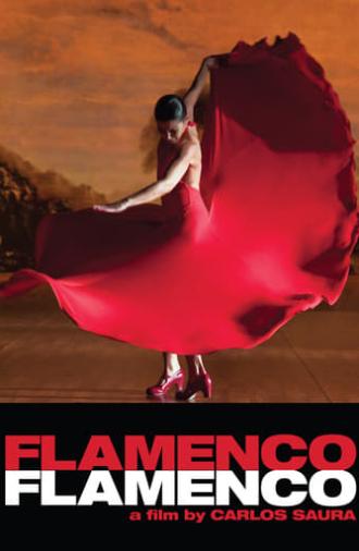 Flamenco Flamenco (2010)