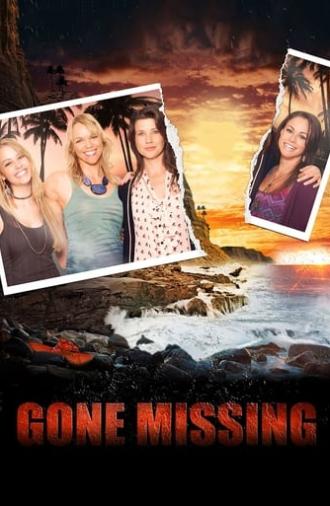 Gone Missing (2013)