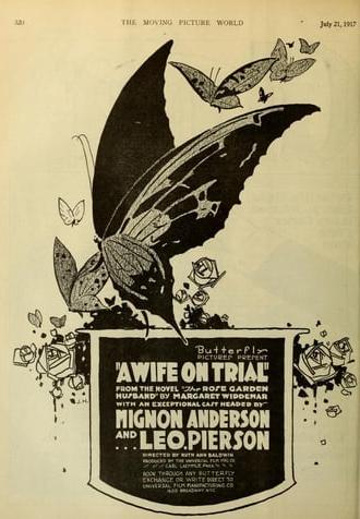 A Wife on Trial (1917)