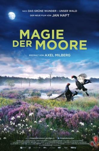 Magie der Moore (2015)