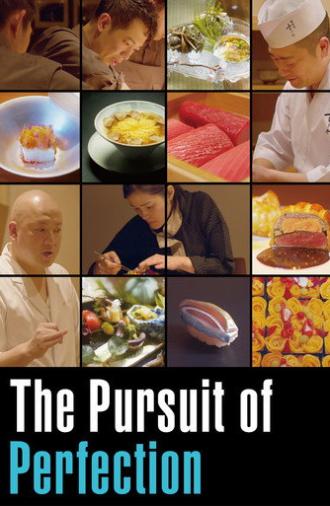 The Pursuit of Perfection (2024)