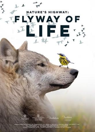 Flyway of Life (2025)