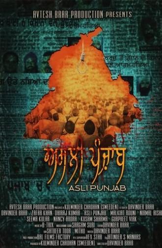 Asli Punjab (2017)