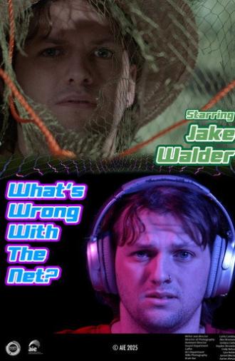 What's Wrong with the Net? (2025)