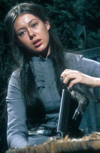 The Wild Duck (1971)