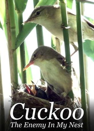 Cuckoo: The Enemy In My Nest (2017)