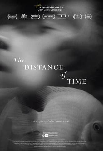 The Distance of Time (2021)