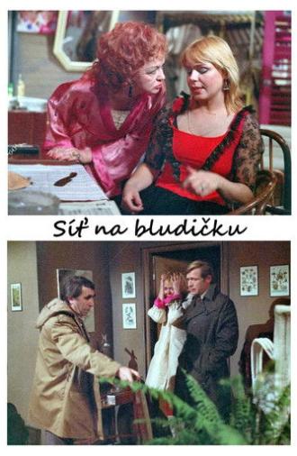 Síť na bludičku (1983)
