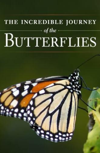 The Incredible Journey of the Butterflies (2009)