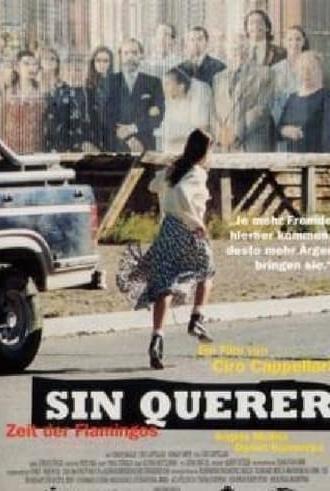 Sin querer (1997)