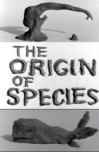 Clay or The Origin of Species (1964)