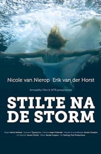 Stilte na de storm (2011)