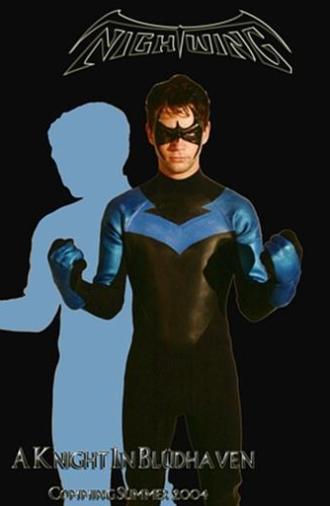 A Knight in Bludhaven (2004)