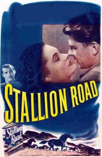 Stallion Road (1947)