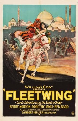 Fleetwing (1928)