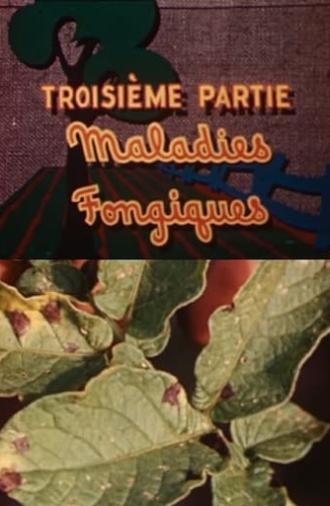 The Enemies of the Potato: Fungal Diseases (1949)