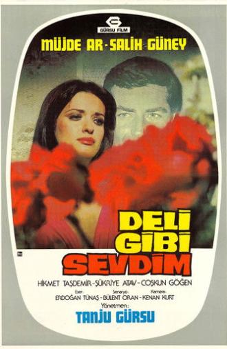 Deli Gibi Sevdim (1976)