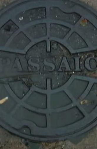 Passaic Mosaic (2008)