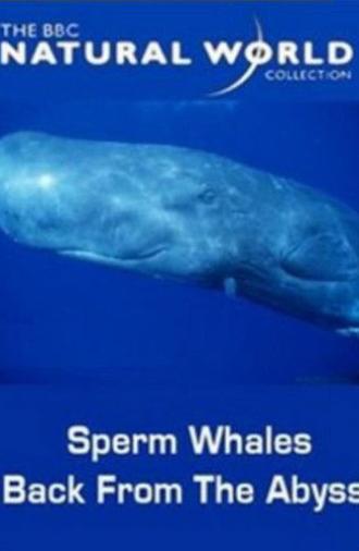 Sperm Whales: Back from the Abyss (1996)
