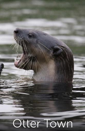 Otter Town (2016)