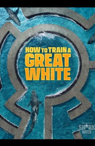 How to Train a Great White (2026)