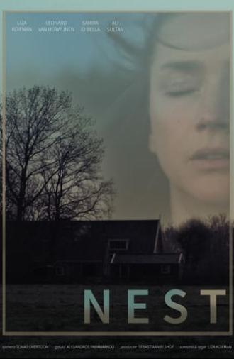 Nest (2019)