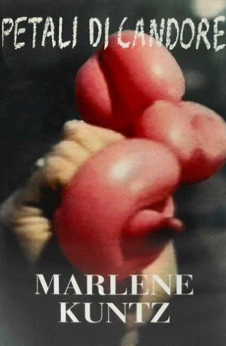 Marlene Kuntz: Petali di Candore (1998)