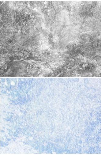 As If I Were Remembering (2023)