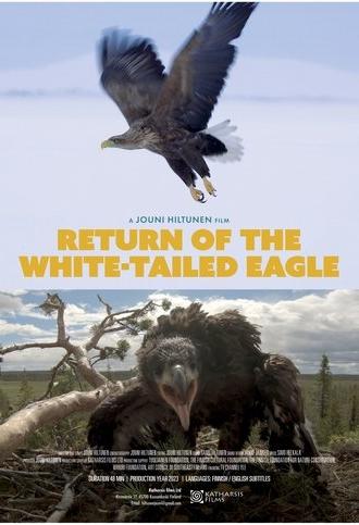 Return of the White-tailed Eagle (2023)