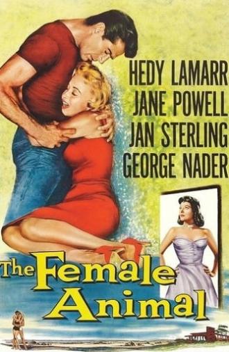 The Female Animal (1958)