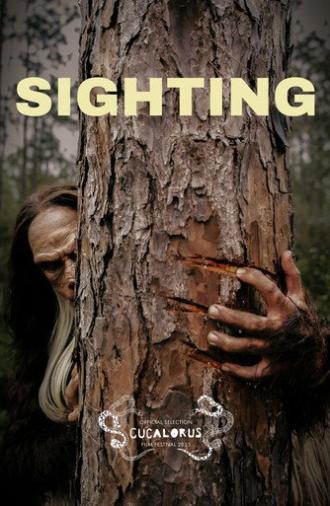 Sighting (2025)