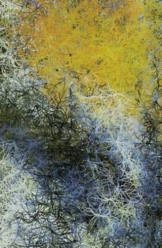 Nocturne no.248 (2008)