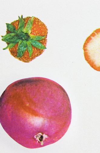 Dancing Fruit (2023)