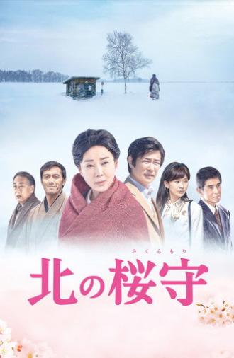 Sakura Guardian in the North (2018)