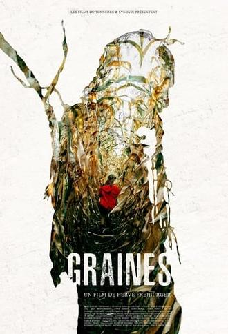 Graines (2018)