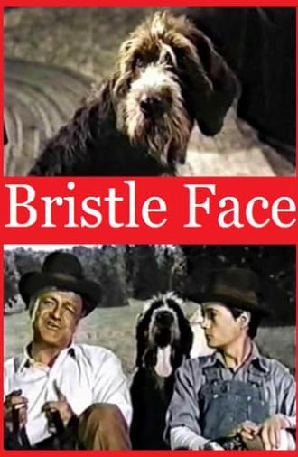 Bristle Face (1964)