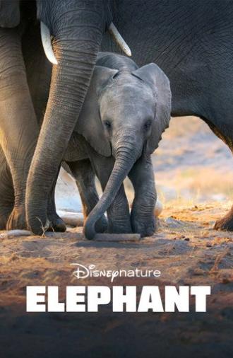 Elephant (2020)