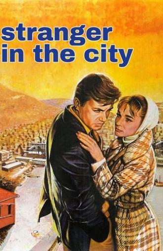 The Stranger in Town (1963)