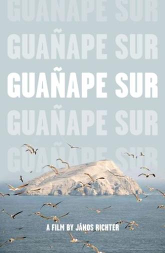 Guañape sur (2011)