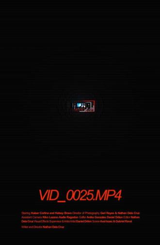 VID_0025.MP4 (2025)