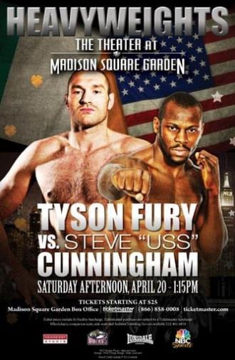 Tyson Fury vs. Steve Cunningham (2013)