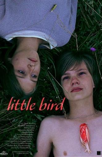 Little Bird (2014)