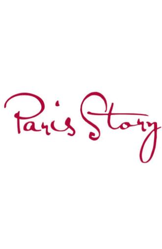 Paris Story (2014)