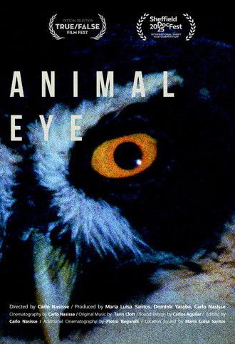Animal Eye (2025)
