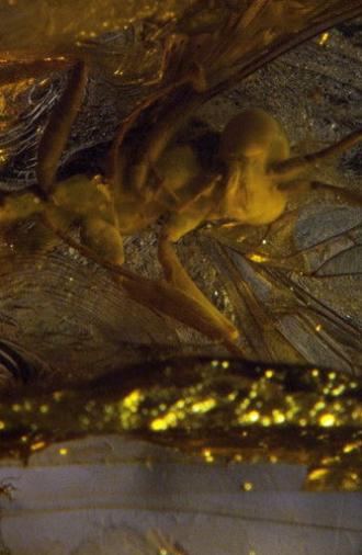 De-Extinction (2014)