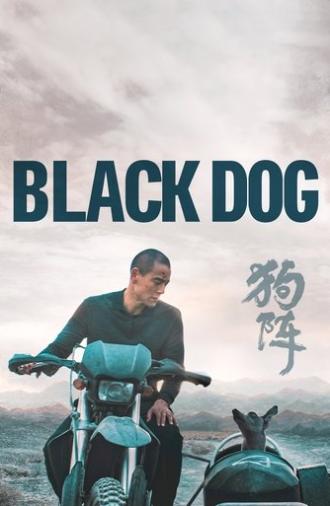 Black Dog (2024)