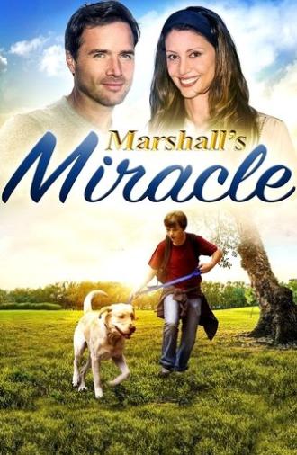 Marshall's Miracle (2015)