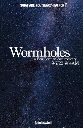 Wormholes (2020)