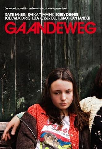 Gaandeweg (2008)