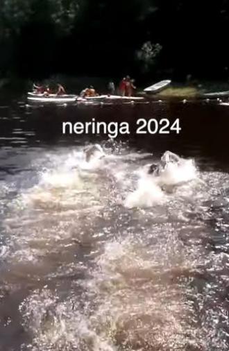 our last year at sleepaway camp (2024)